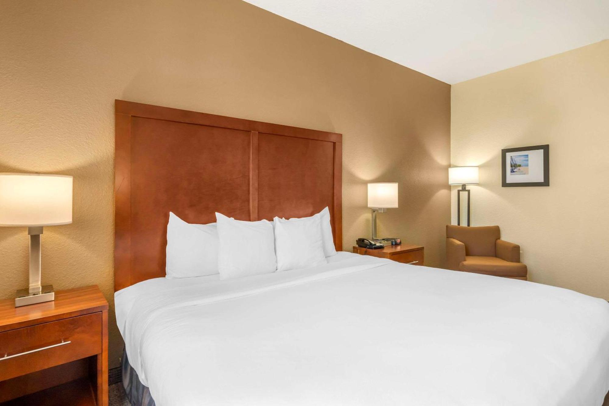 Comfort Inn & Suites Northeast - Gateway Сент-Питерсберг Экстерьер фото